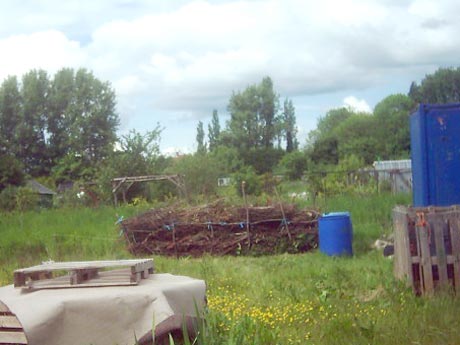 Building a dead hedge